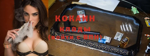 мдпв Богородицк