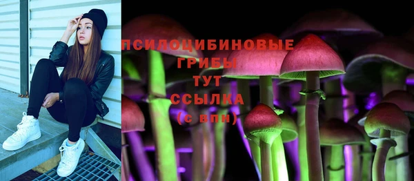 эйфоретик Бородино