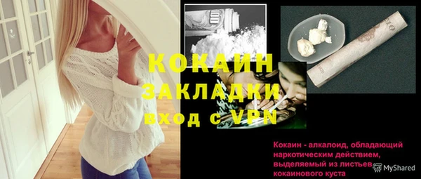 мдпв Богородицк