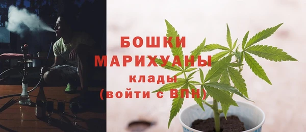 прущие крисы Белоозёрский