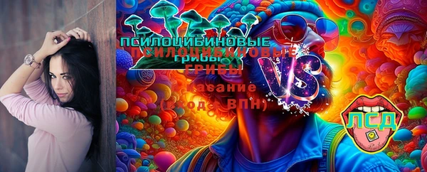 таблы Богданович