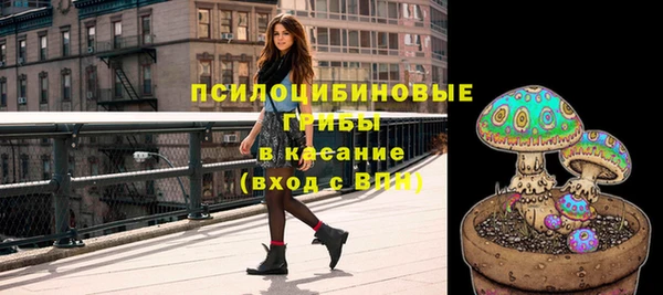 мдпв Богородицк
