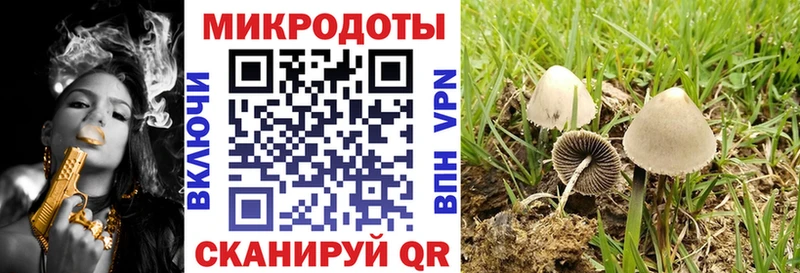 Галлюциногенные грибы GOLDEN TEACHER  Буйнакск 